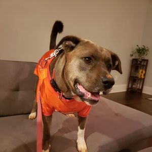 Meet your Posher, Travis